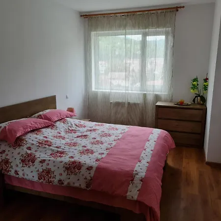 Agt * Brasov